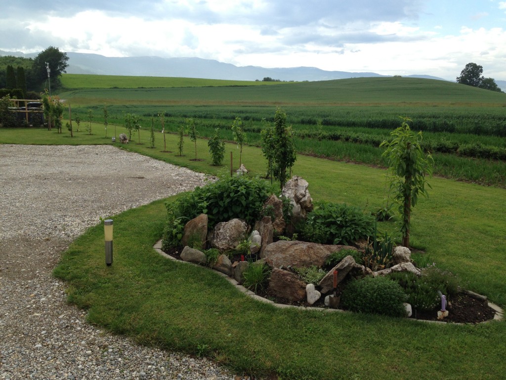 Kräutergarten | Garten